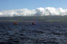 Whale Watching vor São Miguel