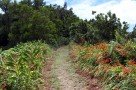 Wanderung nach Ribeira Quente