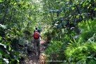 Urwald auf dem Monte Fossa delle Felci