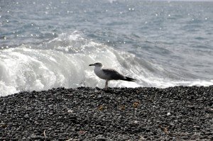 Auf Stromboli