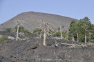 Lavastrom von 2002 und Monte Nero