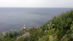 Milazzo - Blick nach Norden