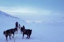 Hundeschlittentour auf Spitzbergen