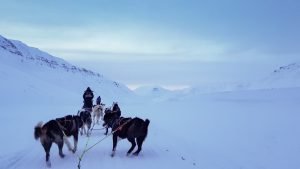 Hundeschlittentour auf Spitzbergen