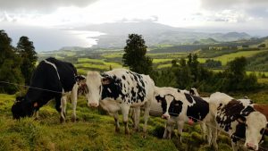 São Miguel und ein paar seiner Bewohner