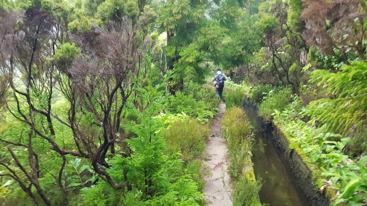 Abstieg vom Lagoa do Fogo an einer kilometerlangen Levada entlang