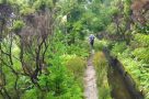 Abstieg vom Lagoa do Fogo an einer kilometerlangen Levada entlang