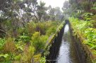 Abstieg vom Lagoa do Fogo an einer kilometerlangen Levada entlang