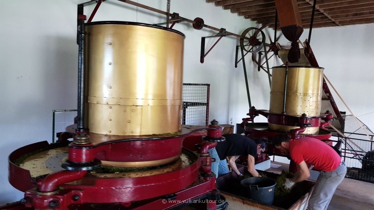 Die alte Teefabrik Gorreana