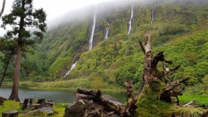 Poço Ribeira do Ferreiro / Alagoinha (Flores) - schönster Fleck der gesamgten Azoren?