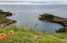 Monte Guia (Faial)