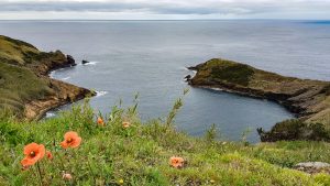 Monte Guia (Faial)