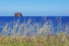 Frühlingspracht auf Stromboli