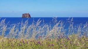 Frühlingspracht auf Stromboli