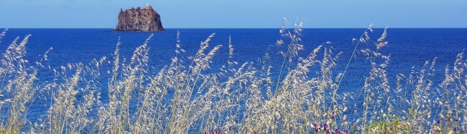 Frühlingspracht auf Stromboli