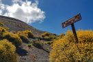 Aufstieg durch den blühenden Ginster zum Gran Cratere von Vulcano