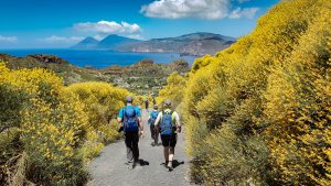 Blütenpracht auf Vulcano