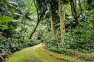 Terra Nostra Park in Furnas