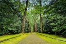 Terra Nostra Park in Furnas