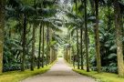 Terra Nostra Park in Furnas