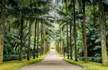 Terra Nostra Park in Furnas