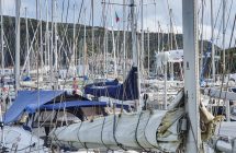 Horta - im Seglerhafen