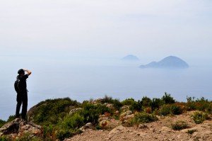 Salina - auf dem höchsten Gipfel des Archipels (Monte Fossa delle Felci, 962 m)