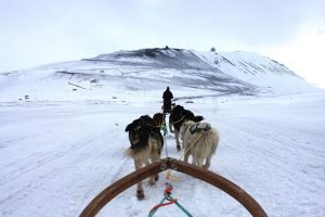 Hundeschlittentour im Adventdalen (im Hintergrund die Gruve 7)