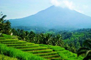 Blick auf den Gunung Agung