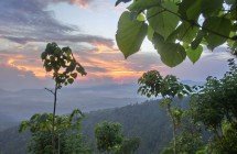 Ausblick vom Gunung Seraya
