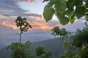 Ausblick vom Gunung Seraya