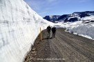 Wanderung auf den Bolafjall