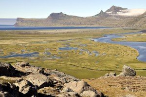 Marschlandschaft in der Hornvík-Bucht