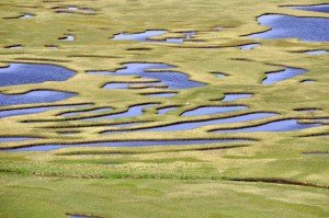 Marschlandschaft