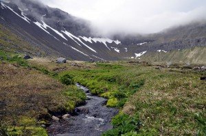 Hvannadalur