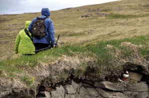 Vogelparadies Látrabjarg - 14 km lange Steilküste! Und der westlichste Punkt Islands...