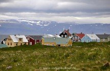 Island wie im Bilderbuch: Insel Flatey