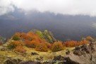 Herbst am Ätna (schiena dell' asino)