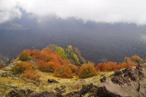 Herbst am Ätna (schiena dell' asino)