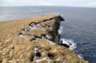 Nordkap von Grímsey - Islands nördlichster Punkt