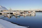 Hafen von Dalvík