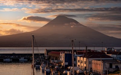 Morgenstimmung mit Picoblick