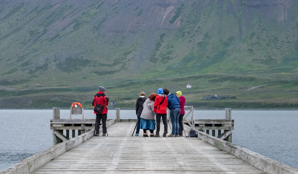 Fotoreise Island Westfjorde, Juli 2021