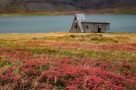 Bunter Herbst in den Westfjorden