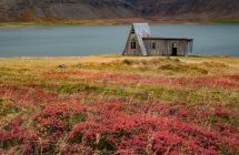 Bunter Herbst in den Westfjorden