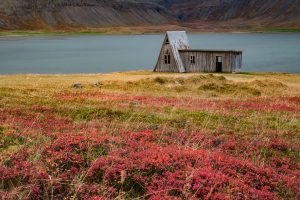 Bunter Herbst in den Westfjorden