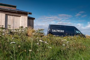 Saltverk