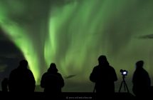 Phänomenale Nordlichter über uns