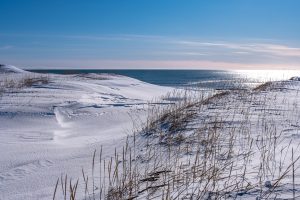 Strandhafer im Schnee