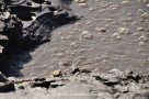 Blubbernder Schlammtümpel im Vulkan Solfatara